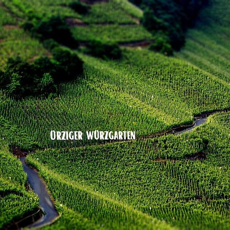 Apartment Weingut Dr Hermann I Erden Exteriör bild